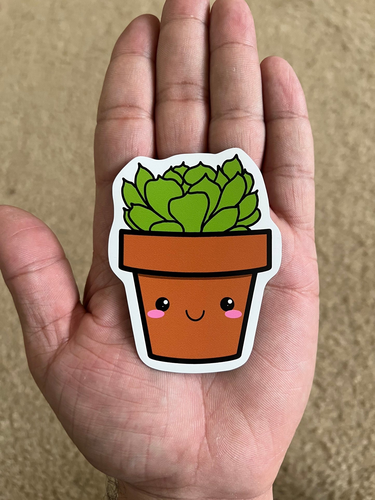 Kawaii Succulent Echeveria Lola Magnet